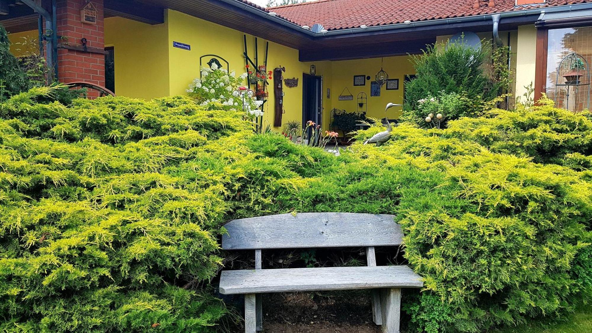 Ferienwohnung Guenther , 3 - Sterne Waren  Dış mekan fotoğraf